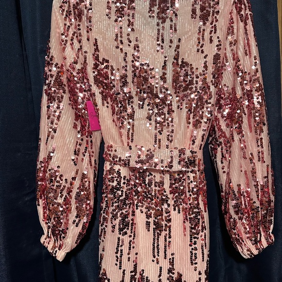 Buddy Love Dresses & Skirts - Buddy Love Blush Sequin Dress